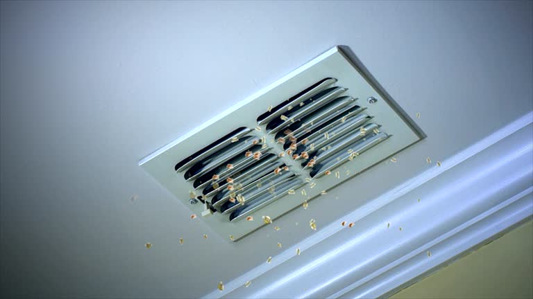 Best Duct Cleaning for Homes  in Mount Pleasant, MI