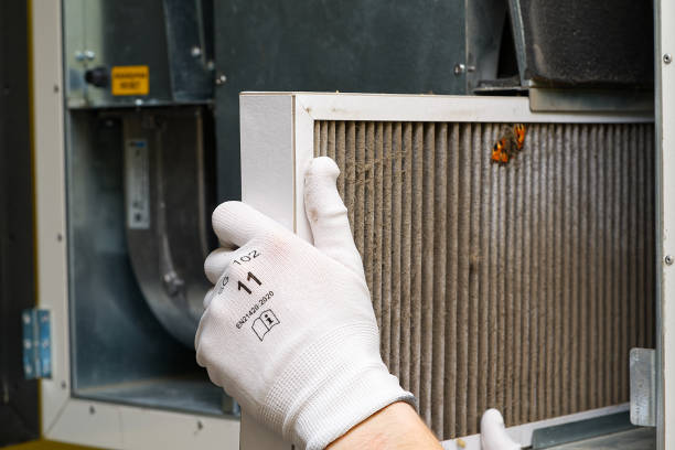Best HVAC Duct Inspection Services  in Mount Pleasant, MI