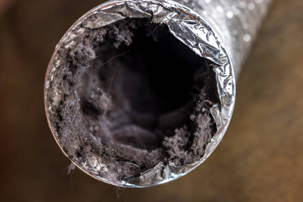 Best Affordable Air Duct Cleaning  in Mount Pleasant, MI